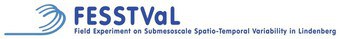 fesstval-logo.jpeg